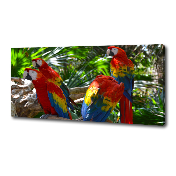 Cuadro canvas con impresión uv duradera horizontal Loros guacamayos