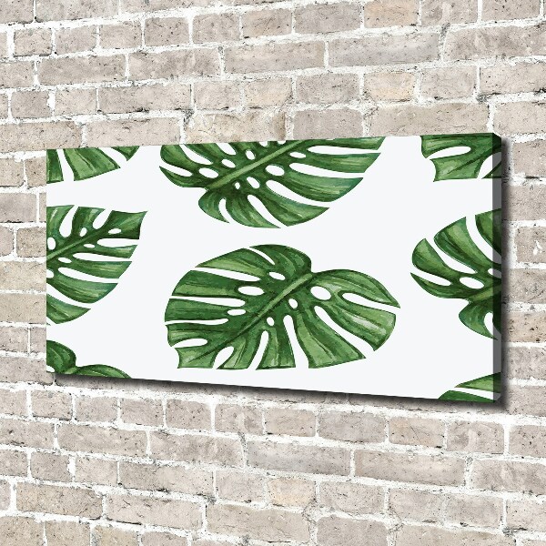Foto obraz canvas Monstera