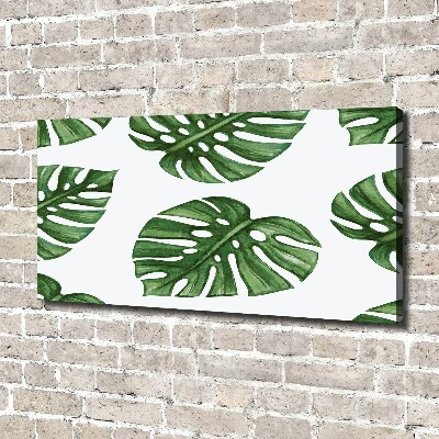 Foto obraz canvas Monstera