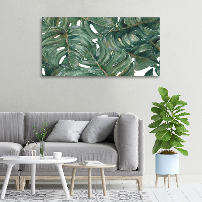 Foto obraz canvas Monstera
