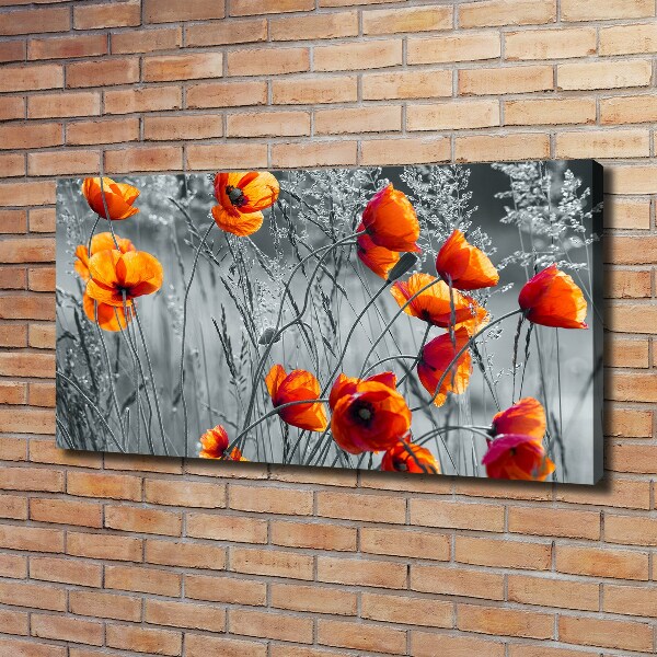 Foto en lienzo con acabado profesional horizontal Amapolas de campo