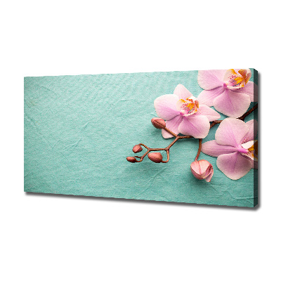 Foto obraz canvas Orchidea