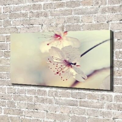 Cuadro canvas con impresión uv duradera horizontal Flor de cerezo