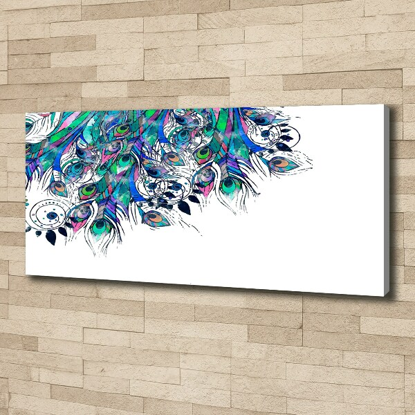 Foto en lienzo con acabado profesional horizontal plumas de pavo real