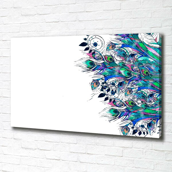 Foto obraz canvas Pawie pióra