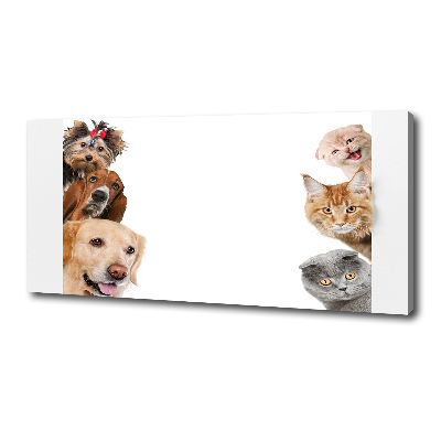 Fotocuadro en lienzo de alta calidad horizontal Perros y gatos