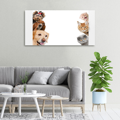 Fotocuadro en lienzo de alta calidad horizontal Perros y gatos