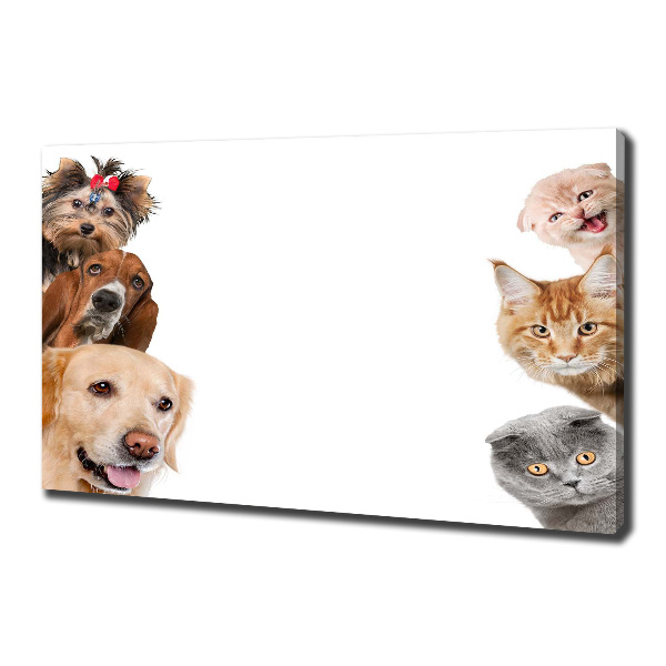 Fotocuadro en lienzo de alta calidad horizontal Perros y gatos