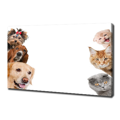 Fotocuadro en lienzo de alta calidad horizontal Perros y gatos