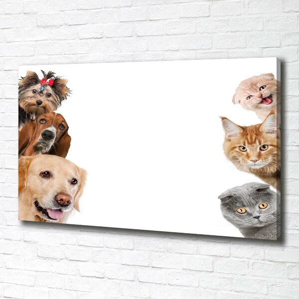 Fotocuadro en lienzo de alta calidad horizontal Perros y gatos