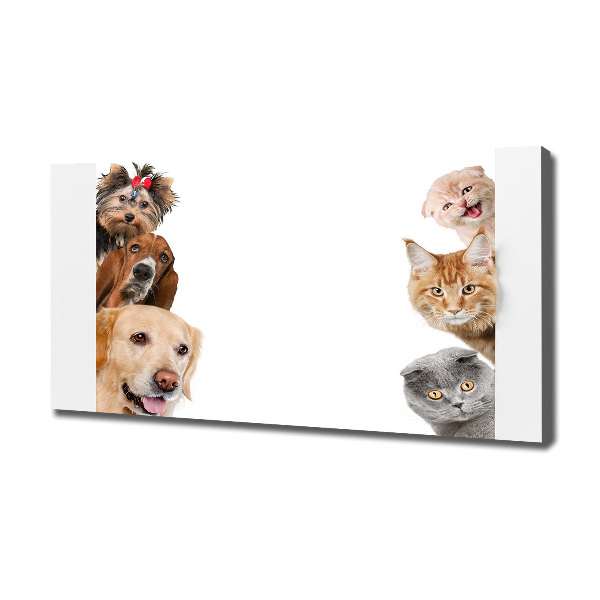 Fotocuadro en lienzo de alta calidad horizontal Perros y gatos