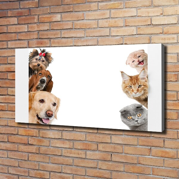 Fotocuadro en lienzo de alta calidad horizontal Perros y gatos