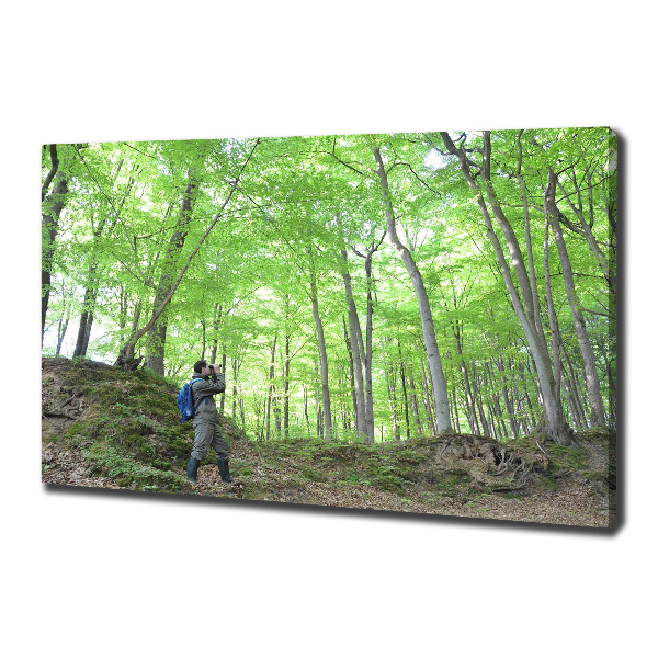 Cuadro canvas con impresión uv duradera horizontal Ornitólogo en el bosque