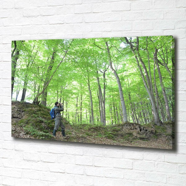 Cuadro canvas con impresión uv duradera horizontal Ornitólogo en el bosque
