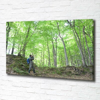 Cuadro canvas con impresión uv duradera horizontal Ornitólogo en el bosque