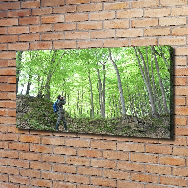 Cuadro canvas con impresión uv duradera horizontal Ornitólogo en el bosque