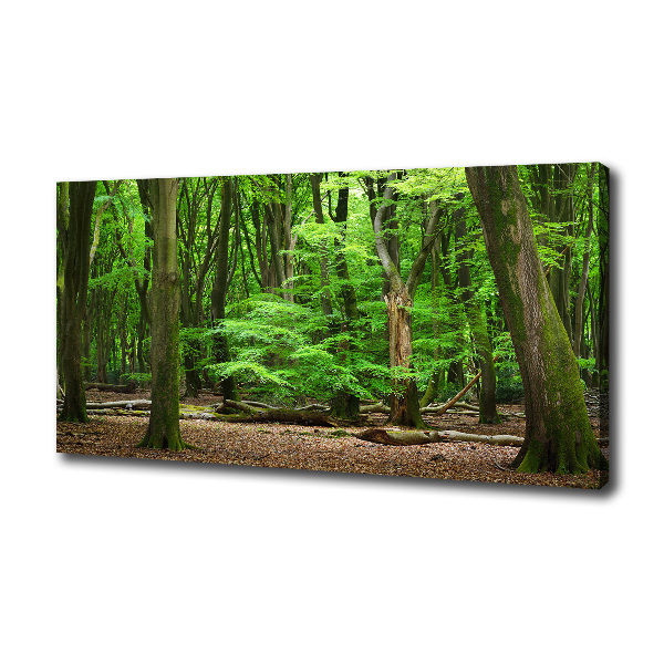 Cuadro canvas con impresión uv duradera horizontal bosque holandés