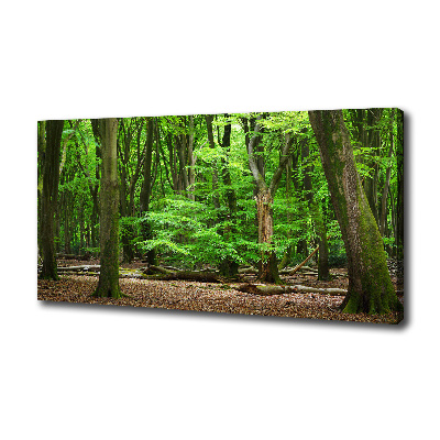 Cuadro canvas con impresión uv duradera horizontal bosque holandés