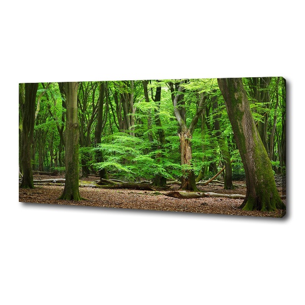 Cuadro canvas con impresión uv duradera horizontal bosque holandés