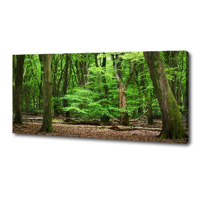 Cuadro canvas con impresión uv duradera horizontal bosque holandés