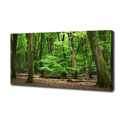 Cuadro canvas con impresión uv duradera horizontal bosque holandés