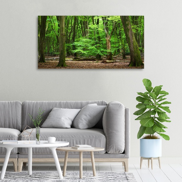 Cuadro canvas con impresión uv duradera horizontal bosque holandés