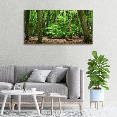 Cuadro canvas con impresión uv duradera horizontal bosque holandés