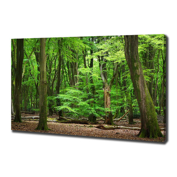 Cuadro canvas con impresión uv duradera horizontal bosque holandés