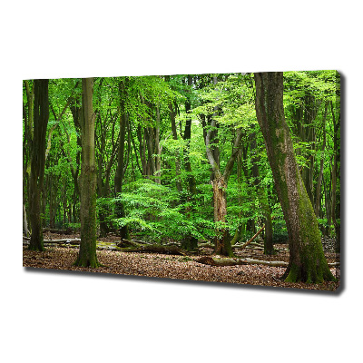 Cuadro canvas con impresión uv duradera horizontal bosque holandés