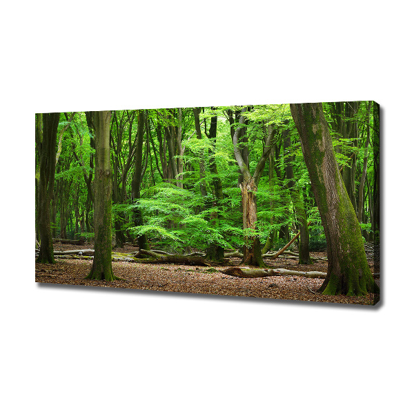 Cuadro canvas con impresión uv duradera horizontal bosque holandés