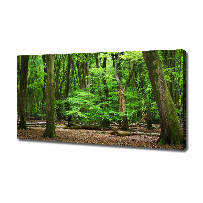 Cuadro canvas con impresión uv duradera horizontal bosque holandés