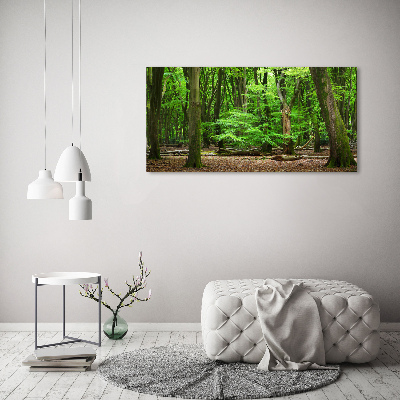 Cuadro canvas con impresión uv duradera horizontal bosque holandés