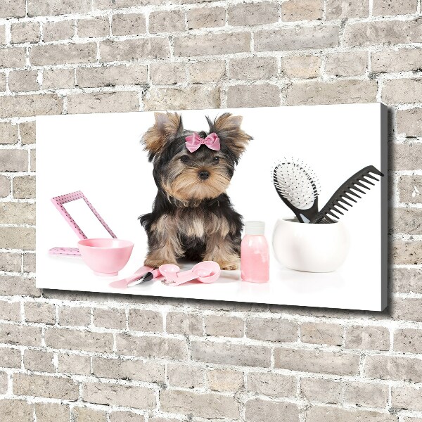 Cuadro canvas moderno de gran formato horizontal Cosméticos de Yorkshire