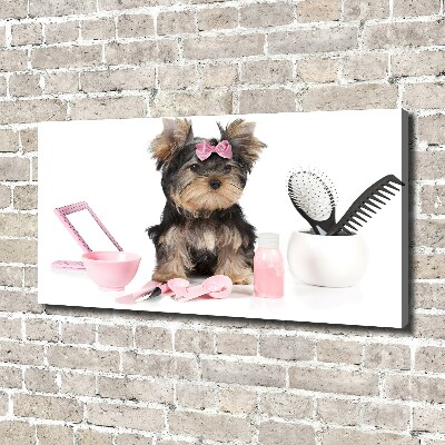 Cuadro canvas moderno de gran formato horizontal Cosméticos de Yorkshire