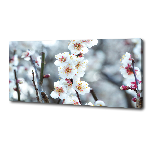 Cuadro canvas con impresión uv duradera horizontal flores de cerezo