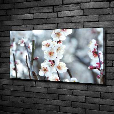 Cuadro canvas con impresión uv duradera horizontal flores de cerezo