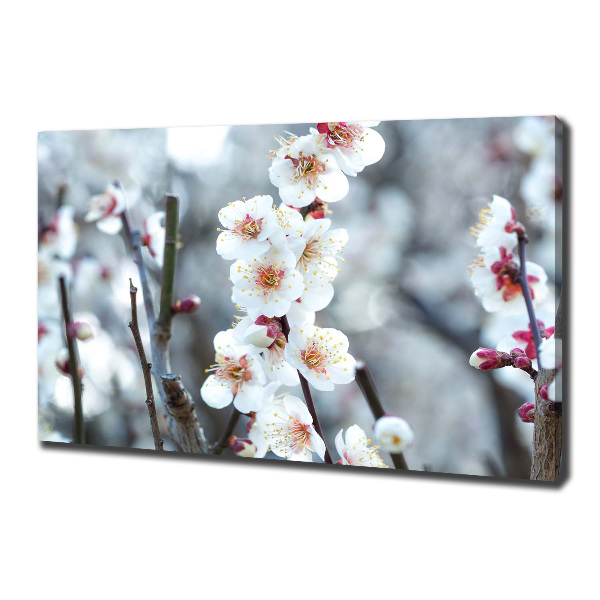 Cuadro canvas con impresión uv duradera horizontal flores de cerezo