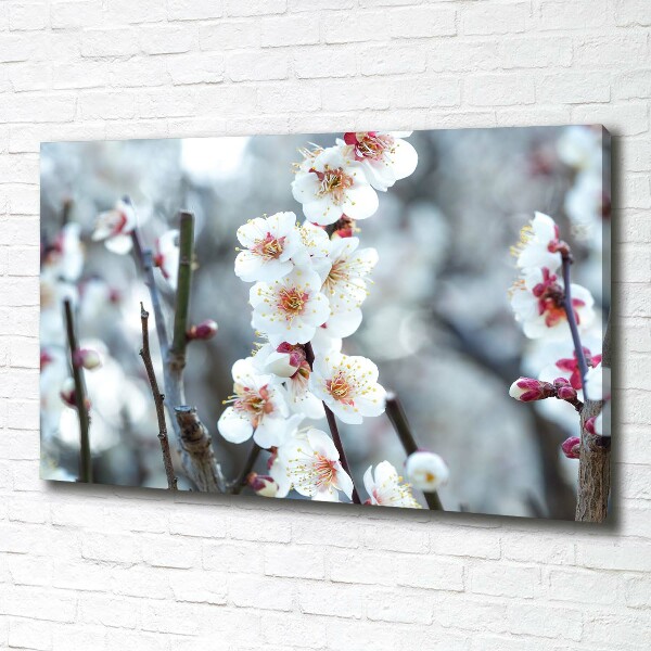 Cuadro canvas con impresión uv duradera horizontal flores de cerezo