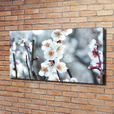 Cuadro canvas con impresión uv duradera horizontal flores de cerezo