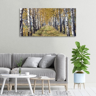 Cuadro canvas con impresión uv duradera horizontal Abedules en otoño