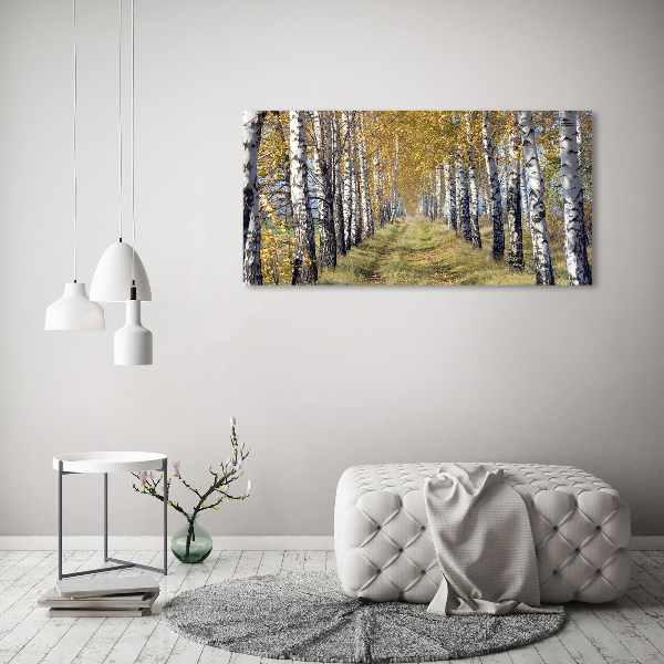 Cuadro canvas con impresión uv duradera horizontal Abedules en otoño