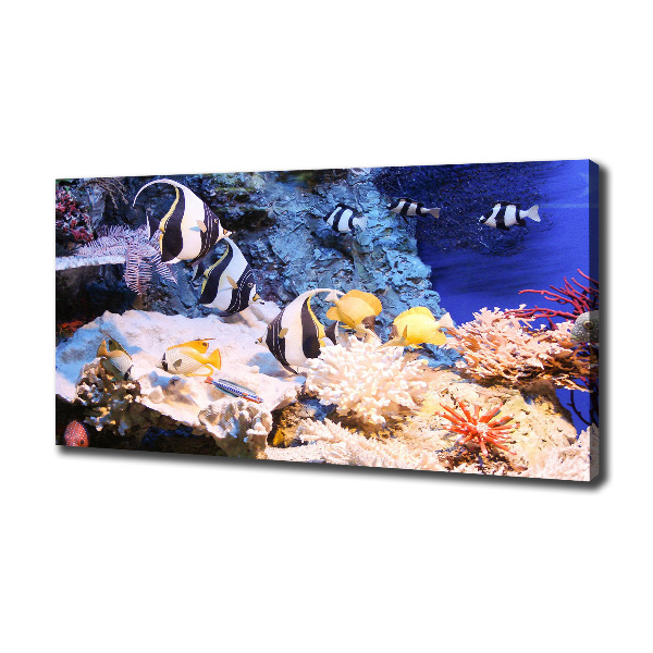 Cuadro canvas con impresión uv duradera horizontal Arrecife de coral