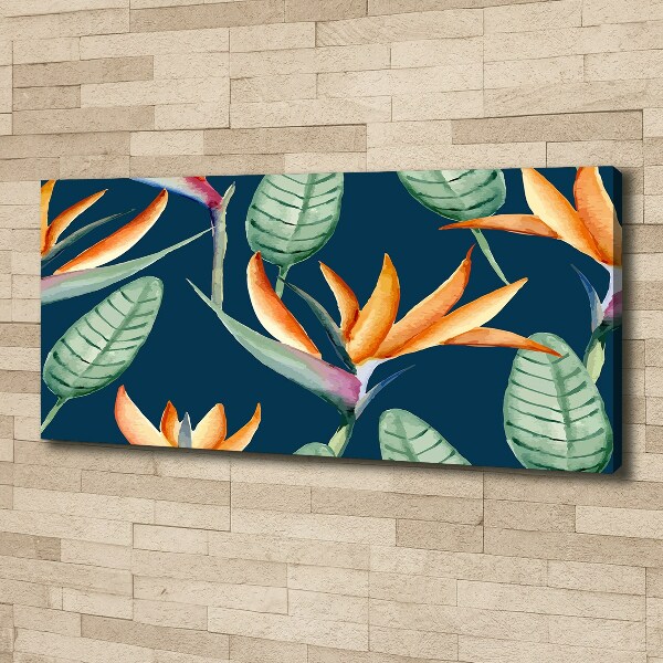 Foto en lienzo con acabado profesional horizontal Strelitzia reginae