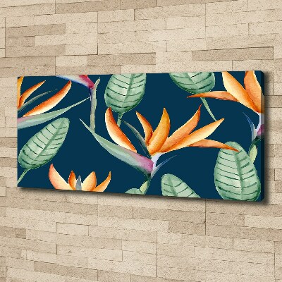 Foto en lienzo con acabado profesional horizontal Strelitzia reginae