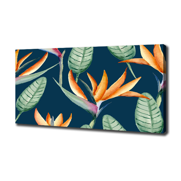 Foto obraz na płótnie Strelicja królewska