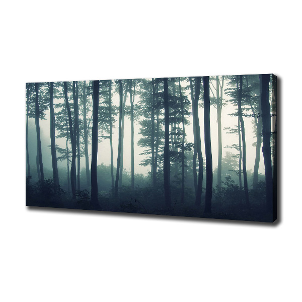Cuadro canvas con impresión uv duradera horizontal Bosque en la niebla