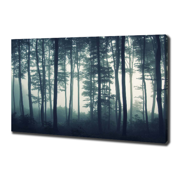 Cuadro canvas con impresión uv duradera horizontal Bosque en la niebla