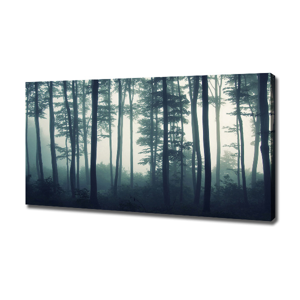 Cuadro canvas con impresión uv duradera horizontal Bosque en la niebla