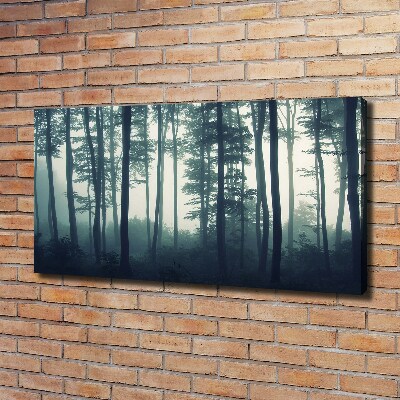 Cuadro canvas con impresión uv duradera horizontal Bosque en la niebla