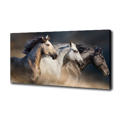 Cuadro canvas moderno de gran formato horizontal Caballos al galope